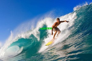 可靠发动机轰鸣！普里查德创队史纪录，绿军官方盛赞其基石价值