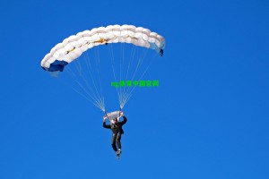 范德芬未谢场引热议，TA评论称不必上纲上线，谢场文化背后的体育精神思考