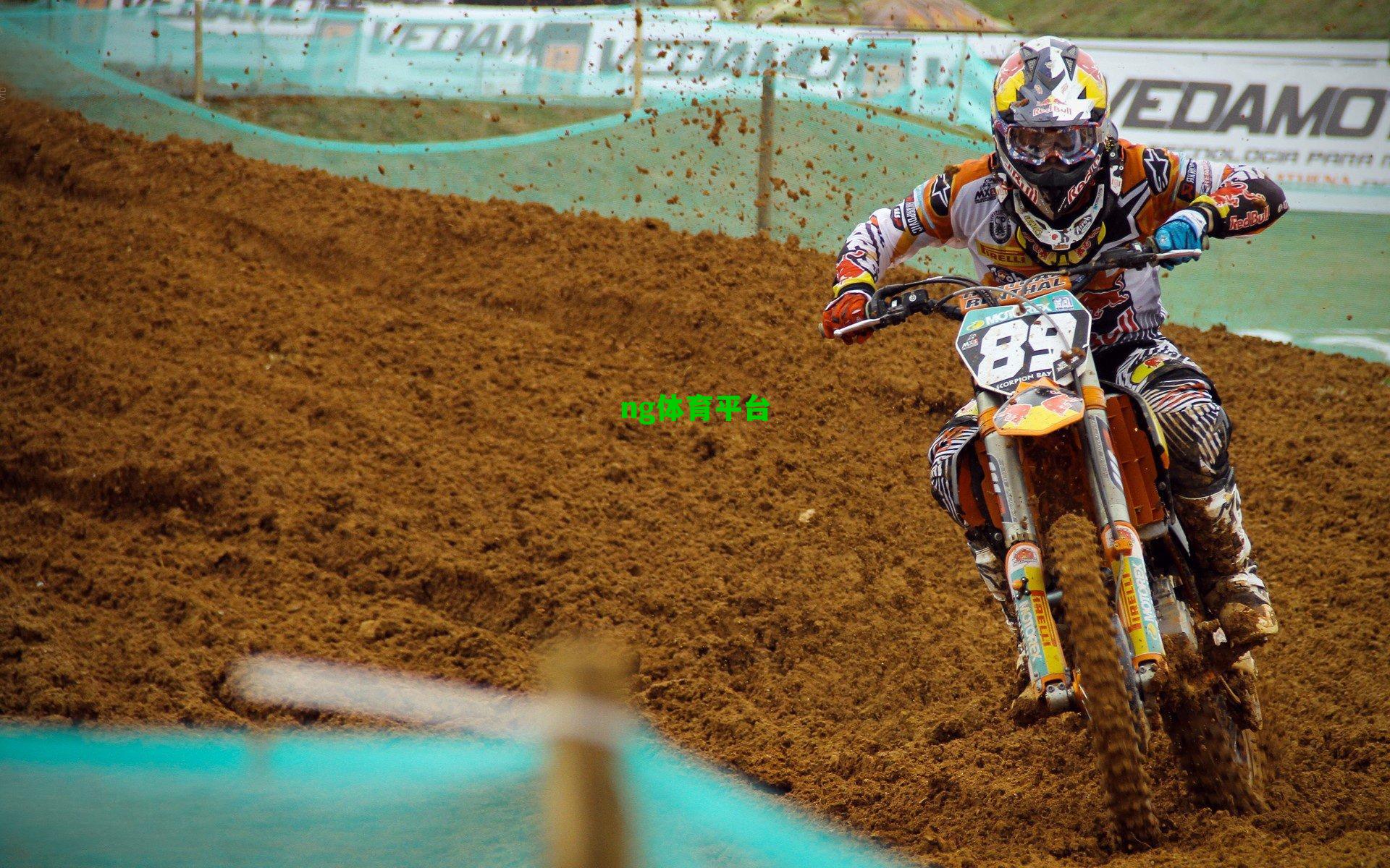 12月20日德甲焦点战深度解析，霍芬海姆迎关键战役，战术变数与冷门悬念交织